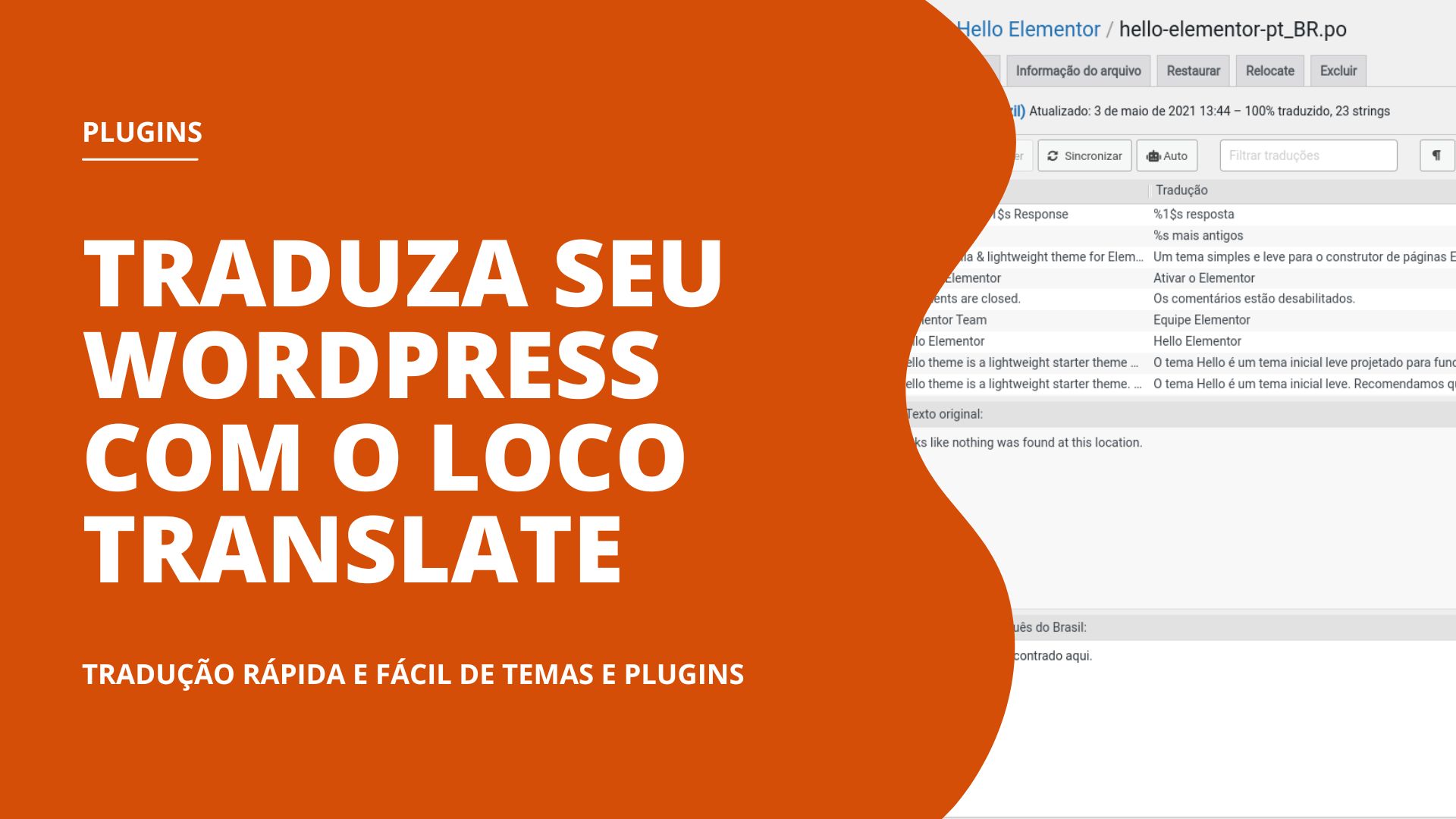 Traduza seu WordPress, tema e plugins de uma forma rápida e fácil 1